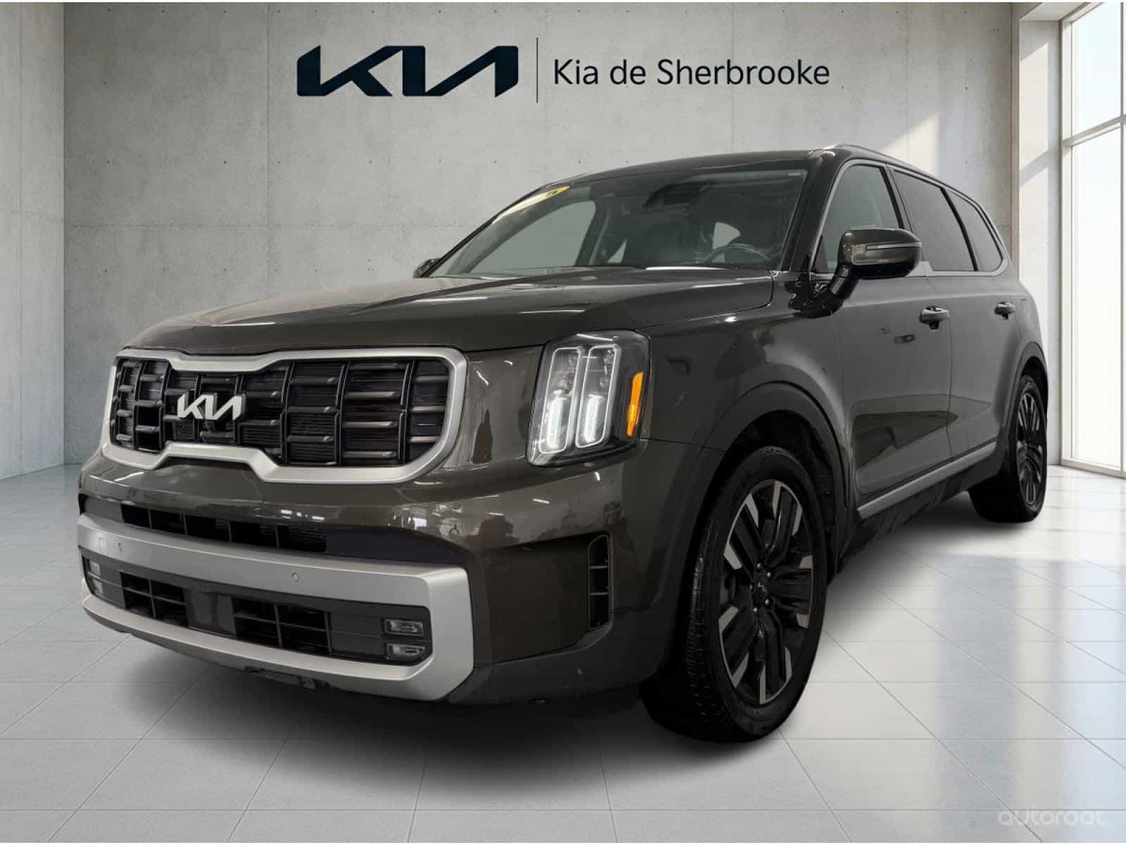 2023 Kia Telluride SX Limited - Image 1