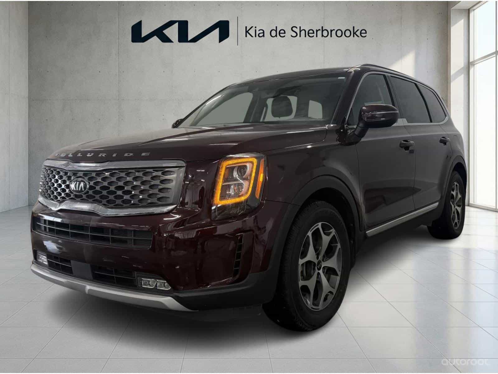 2020 Kia Telluride EX - Image 1