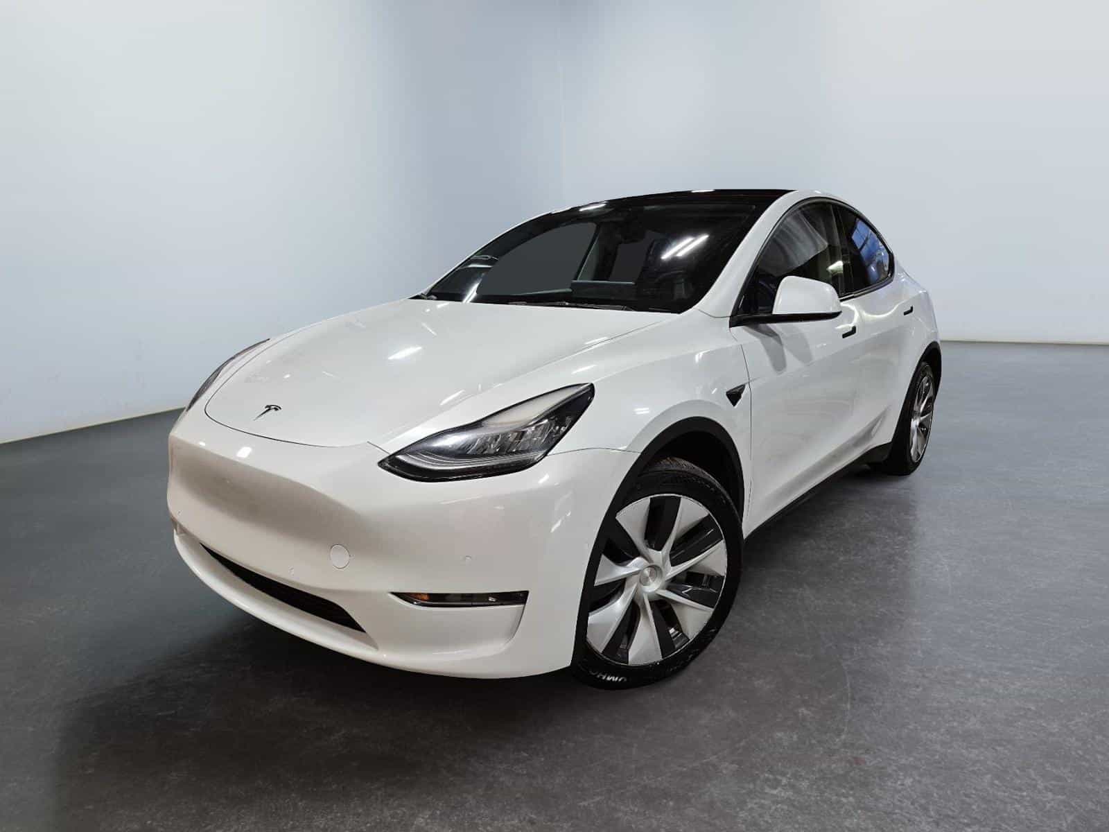 2021 Tesla Model Y Long Range Dual Mtr - Image 1