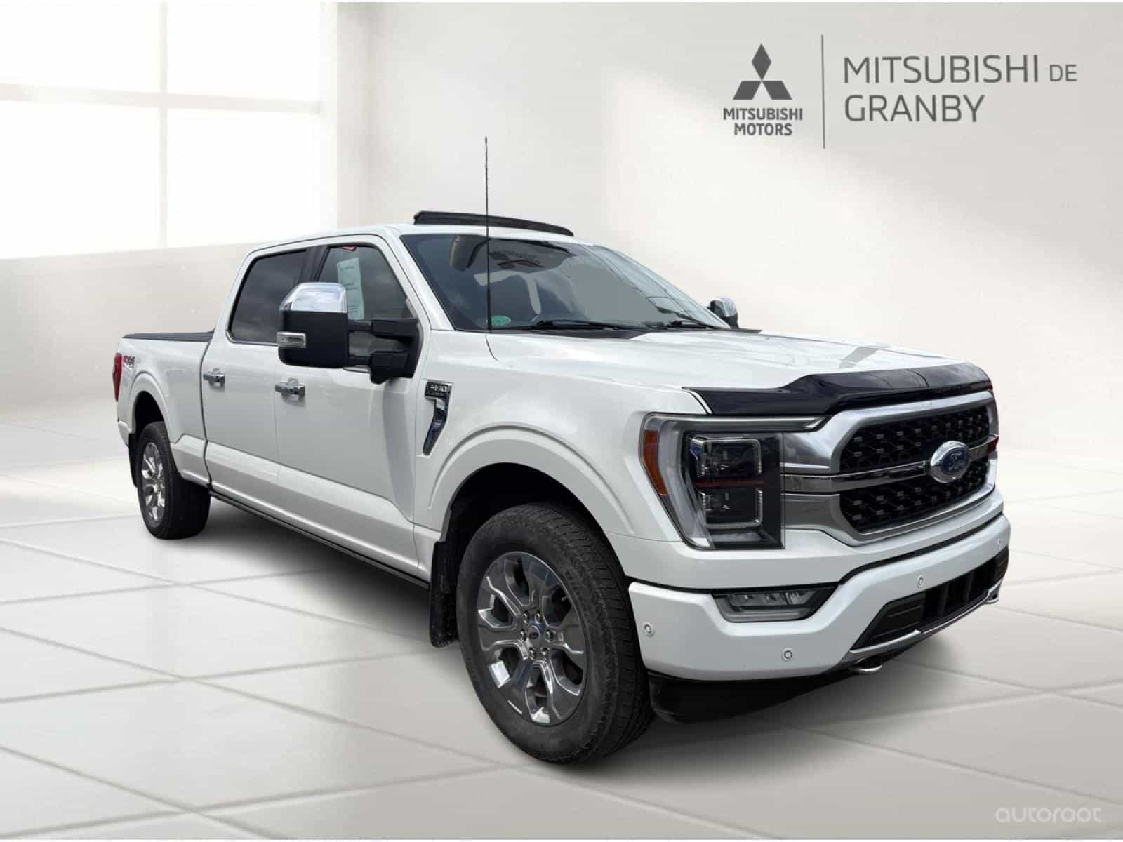 2023 Ford F150 Platinum - Image 1